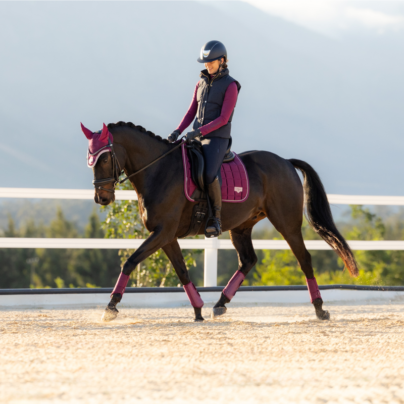LeMieux Loire Classic Dressage Square in Blackberry-3