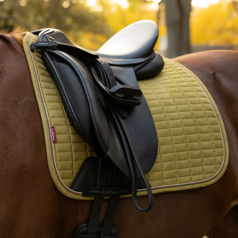 LeMieux Suede Dressage Square in Gooseberry-3
