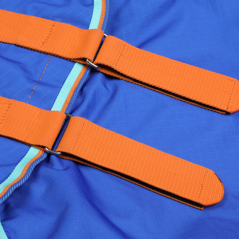 Tempest Original 50 Combo Turnout Rug in Royal Blue-4