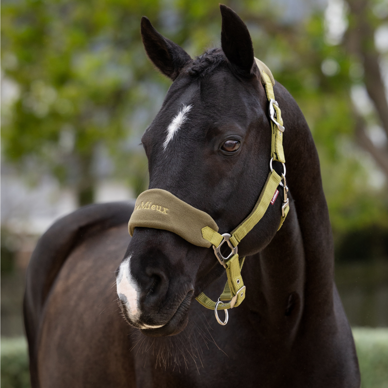 LeMieux Vogue Headcollar and Leadrope in Gooseberry-4