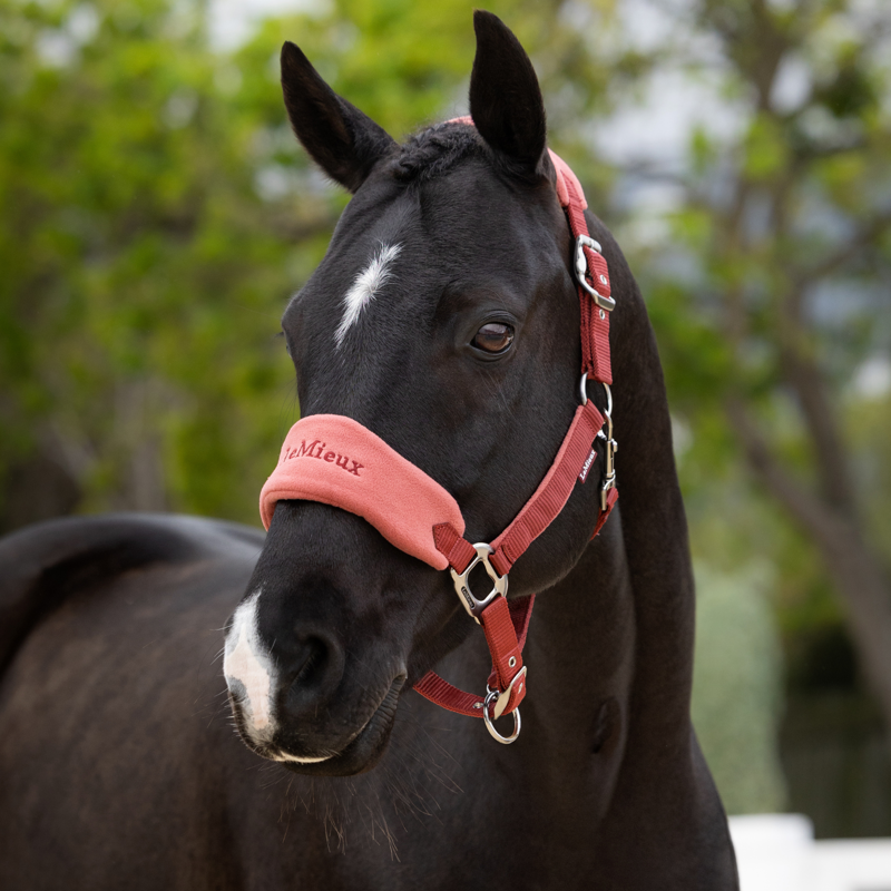 LeMieux Vogue Headcollar and Leadrope in Russet-5