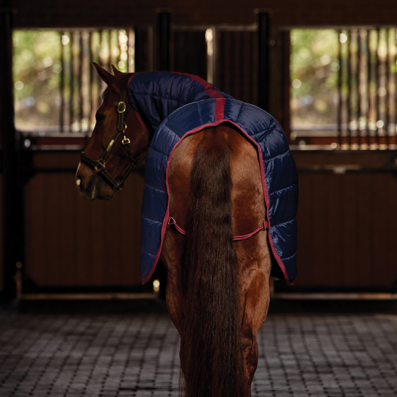 Weatherbeeta Comfitec 210D Channel Quilt Stable Combo 360g Rug in Navy/Burgundy-5