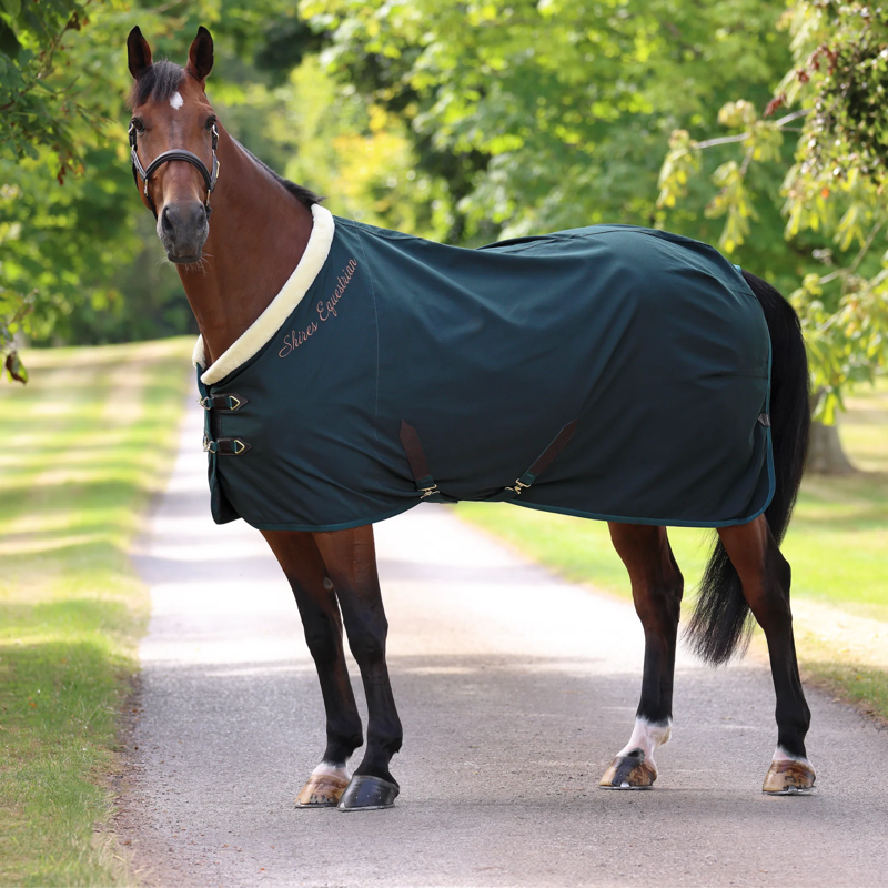 Shires Deluxe Stable Sheet Rug in Green