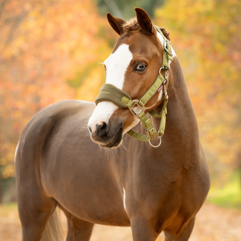 LeMieux Vogue Headcollar and Leadrope in Gooseberry-5