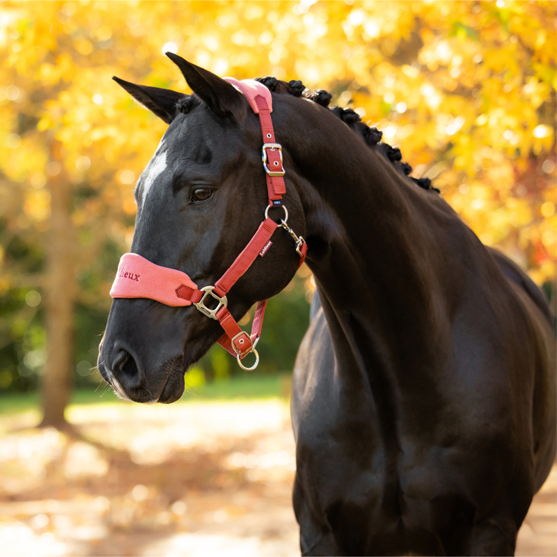LeMieux Vogue Headcollar and Leadrope in Russet-3