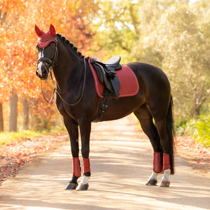 LeMieux Suede Dressage Square in Russet-4