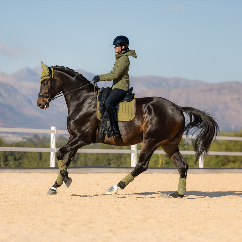 LeMieux Suede Dressage Square in Gooseberry-4