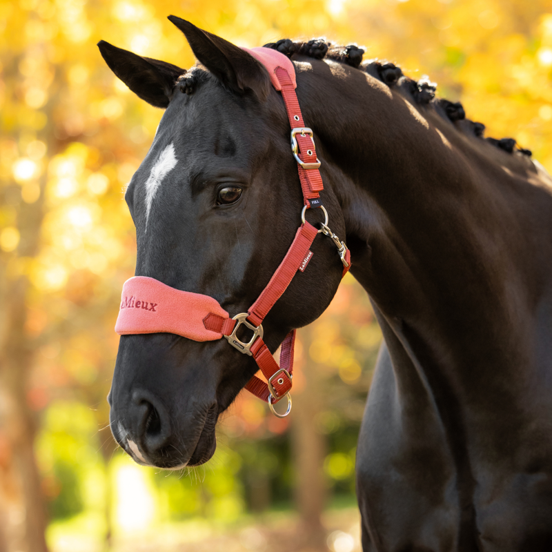 LeMieux Vogue Headcollar and Leadrope in Russet-6