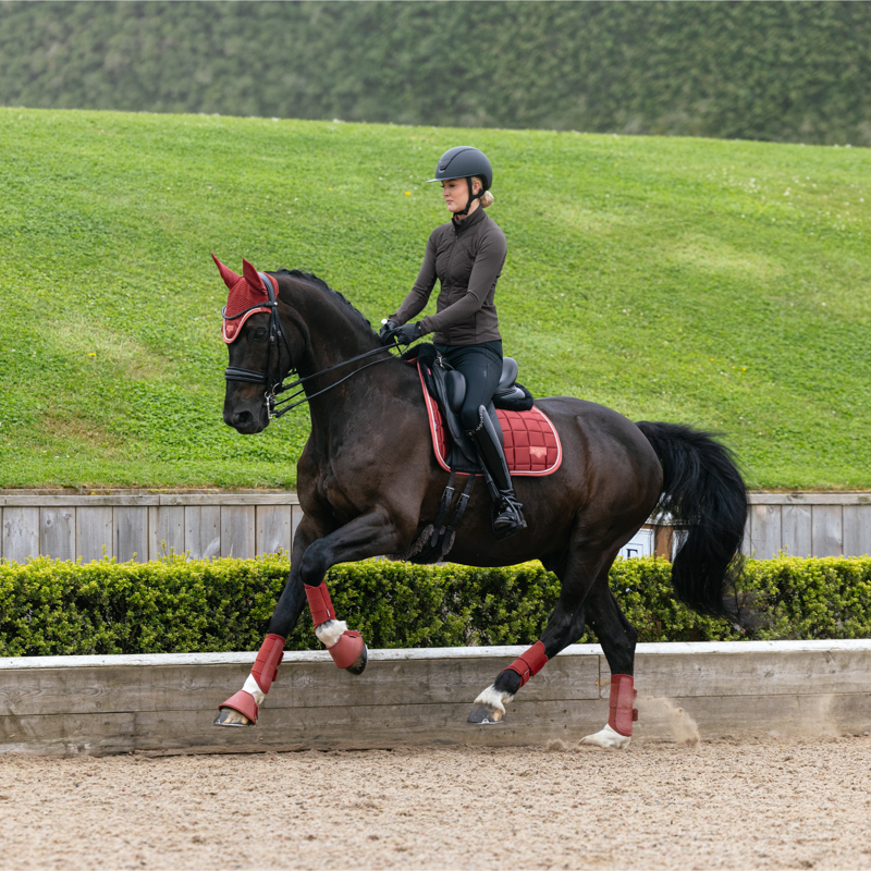 LeMieux Loire Classic Dressage Square in Russet-5