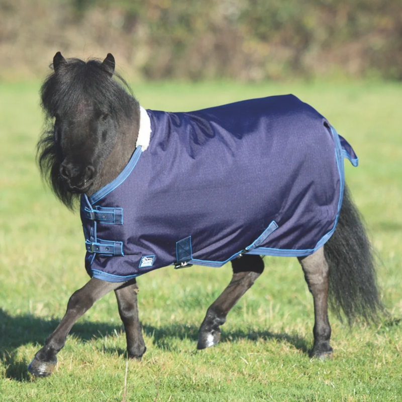 Shires Tempest Original Mini Turnout Rug in Navy/Turquoise