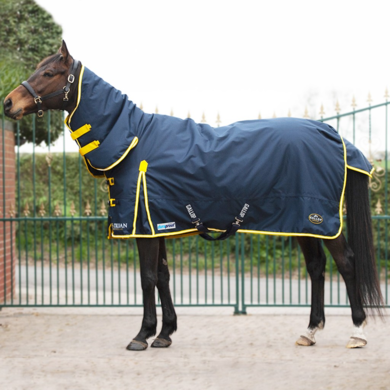 Gallop Trojan Combo Medium Duraproof Turnout Rug 200gm in Navy/Yellow