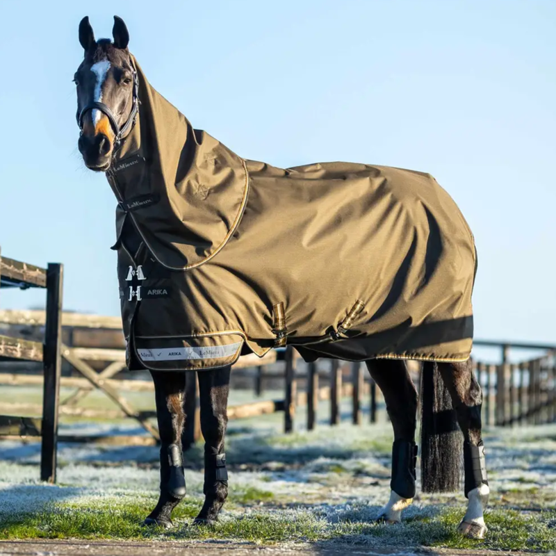 LeMieux Arika Ripstop 50g Turnout Rug in Alpine