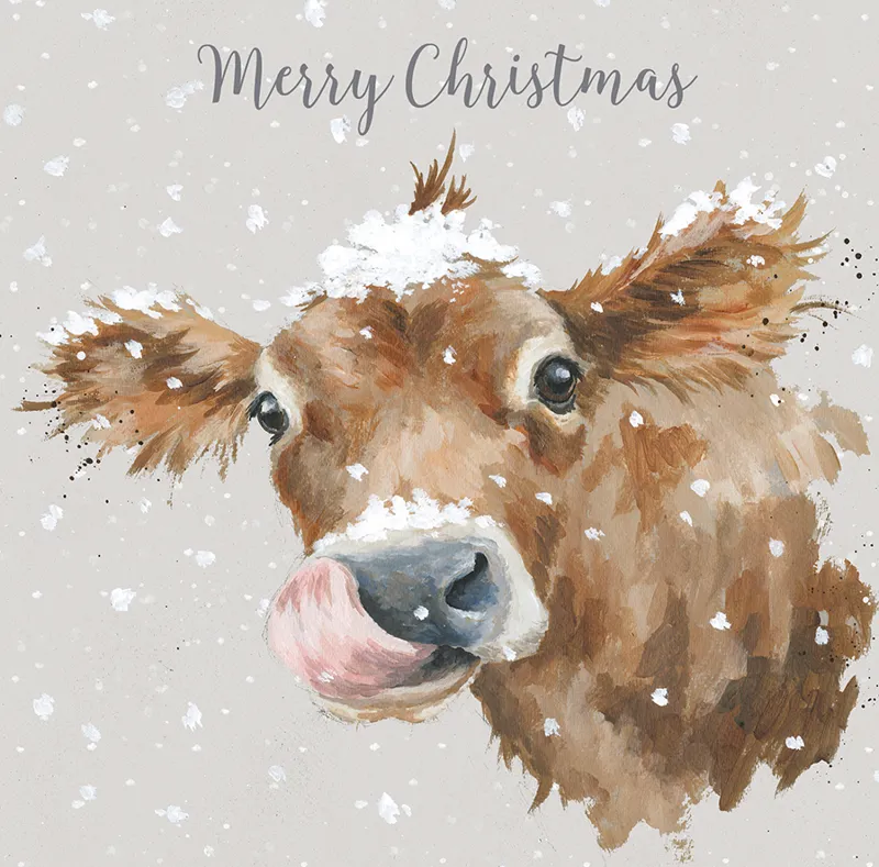 Wrendale Designs First Taste Of Snow Luxury Boxed Christmas Cards