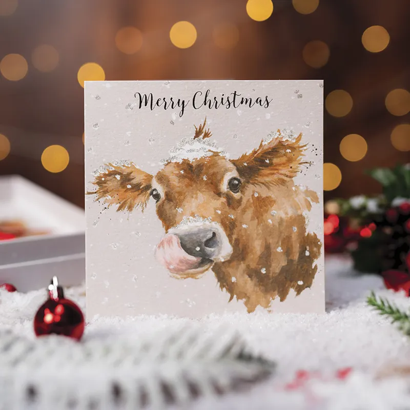 Wrendale Designs First Taste Of Snow Luxury Boxed Christmas Cards-2
