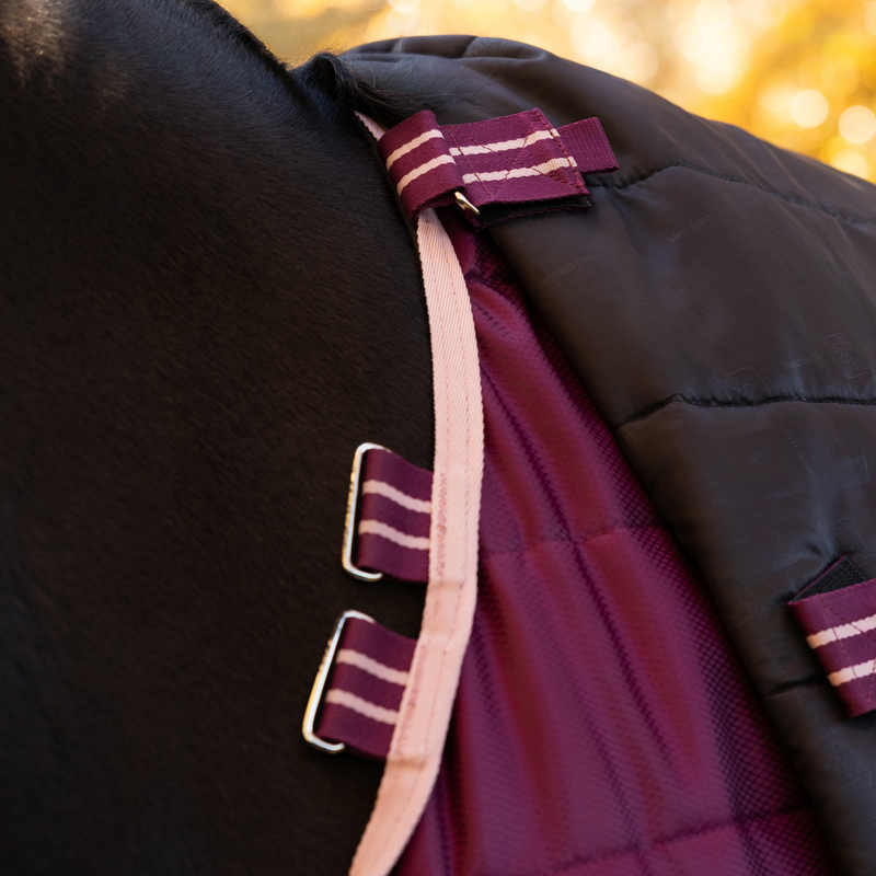 LeMieux Arika Stable-Tek With Neck 200g Rug in Blackberry-2
