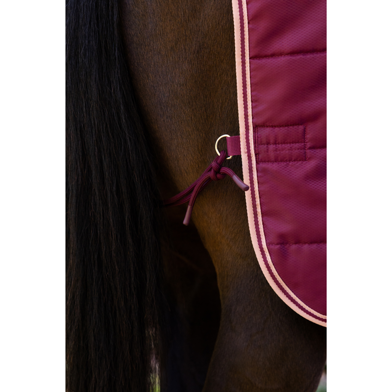 LeMieux Arika Stable-Tek With Neck 200g Rug in Blackberry-3