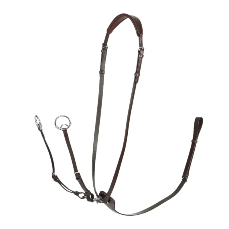 LeMieux Kudos Martingale in Havana and Silver