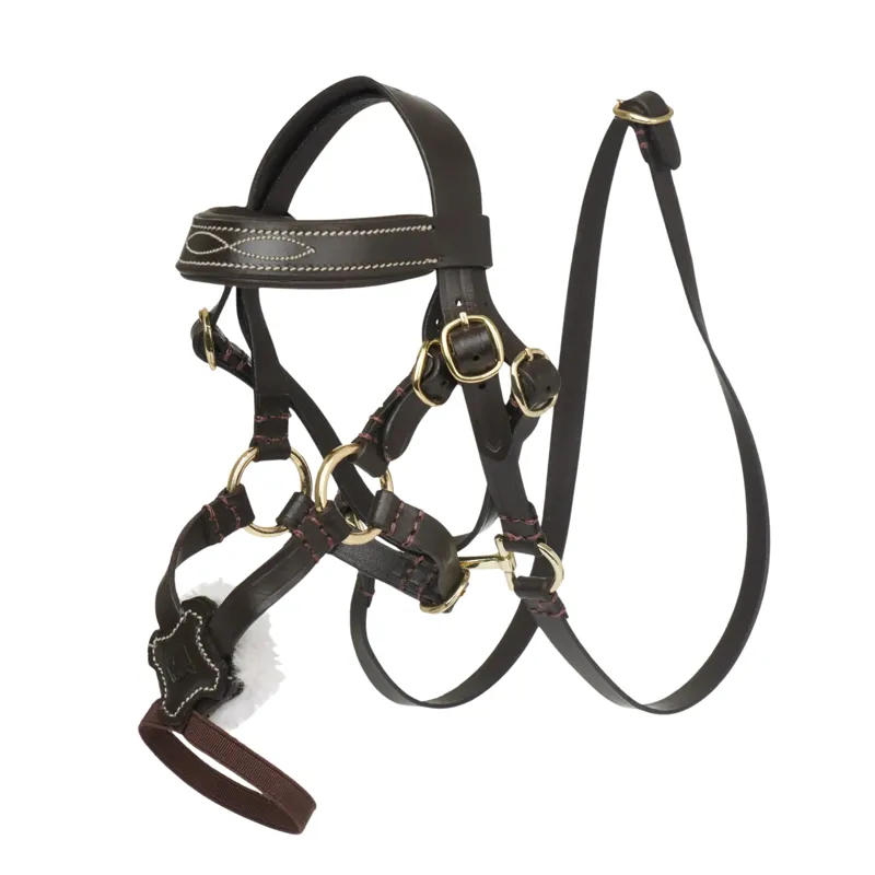 LeMieux Toy Pony Grackle Bridle in Brown