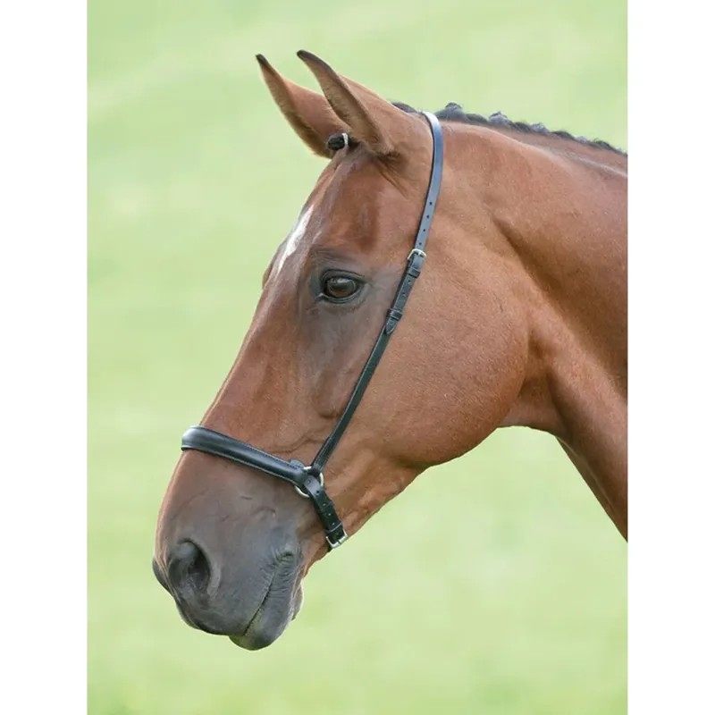 Velociti Gara Drop Noseband in Black