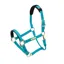 ARMA Topaz Nylon Headcollar in Blue
