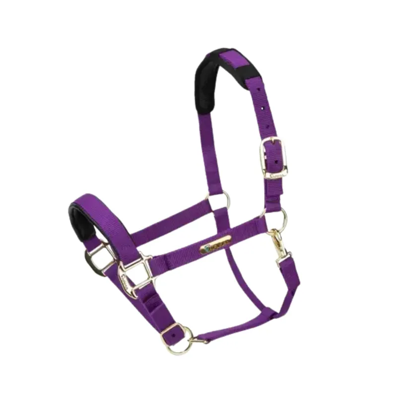 Arma Topaz Nylon Headcollar in Purple