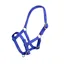 ARMA Headcollar Foal in Royal Blue