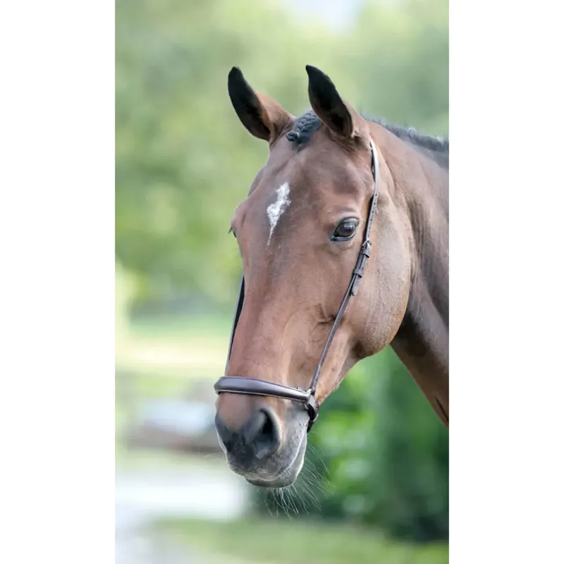 Velociti Gara Drop Noseband in Havana Brown