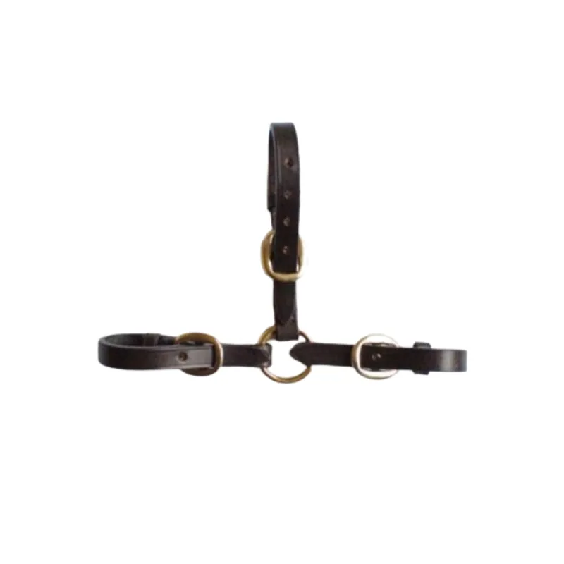 Townfields Leather Couplers 3 Way in Havana