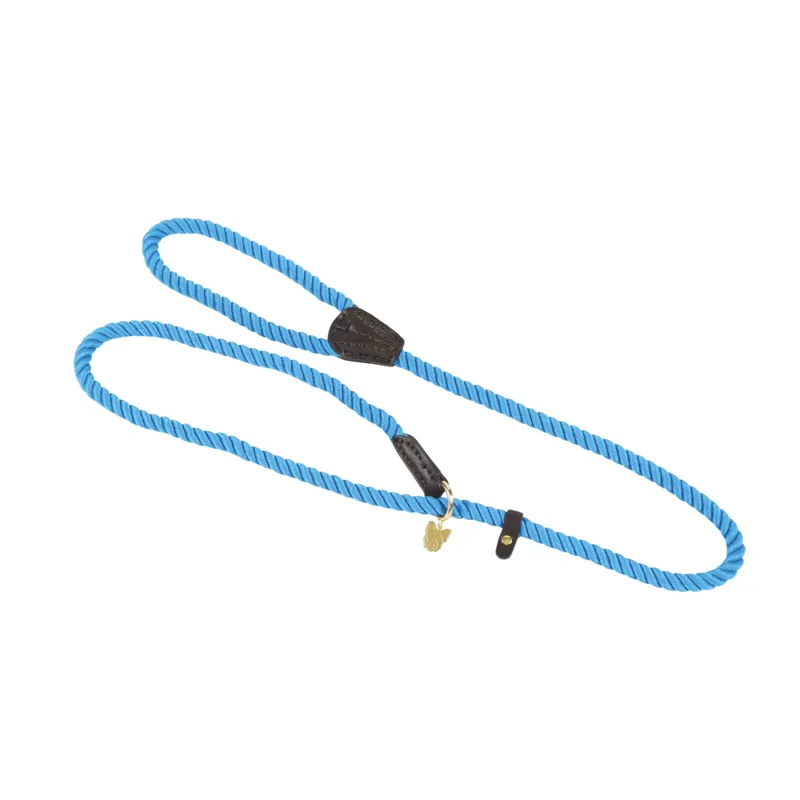 Digby and Fox Rope Slip Dog Lead in Blue