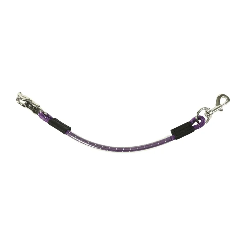 ARMA Heavy Duty Bungee Trailer Tie in Purple