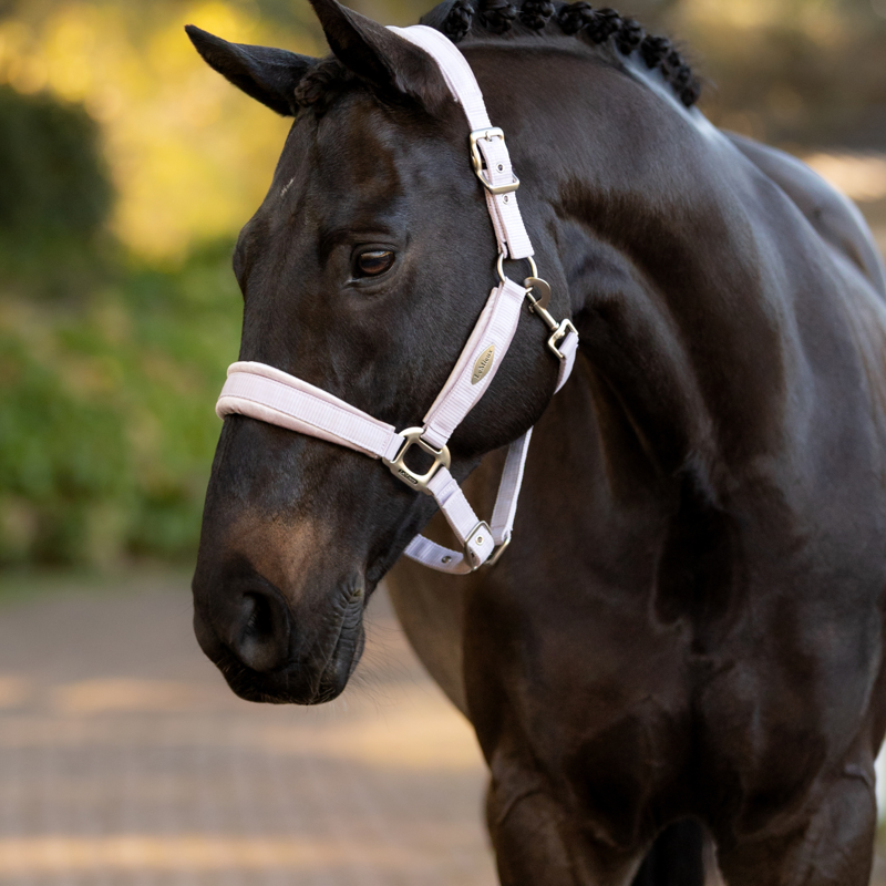 LeMieux Versailles Headcollar in Lilac-2