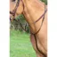 Velociti Gara Running Martingale in Havana Brown