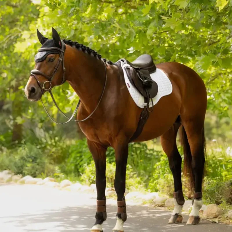 LeMieux Cotton GP Square in White-1