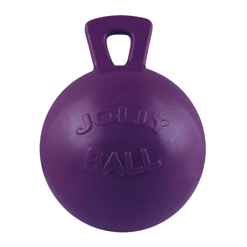 Horsemen's Pride Jolly Ball in Purple