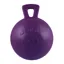 Horsemen's Pride Jolly Ball in Purple