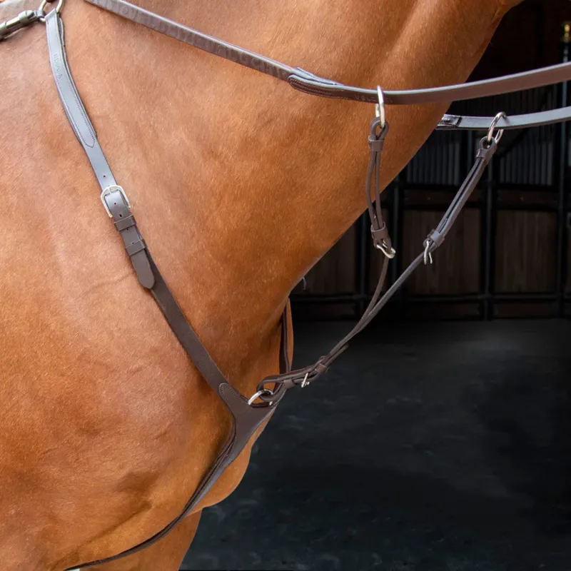 Velociti Rapida Breastplate in Havana