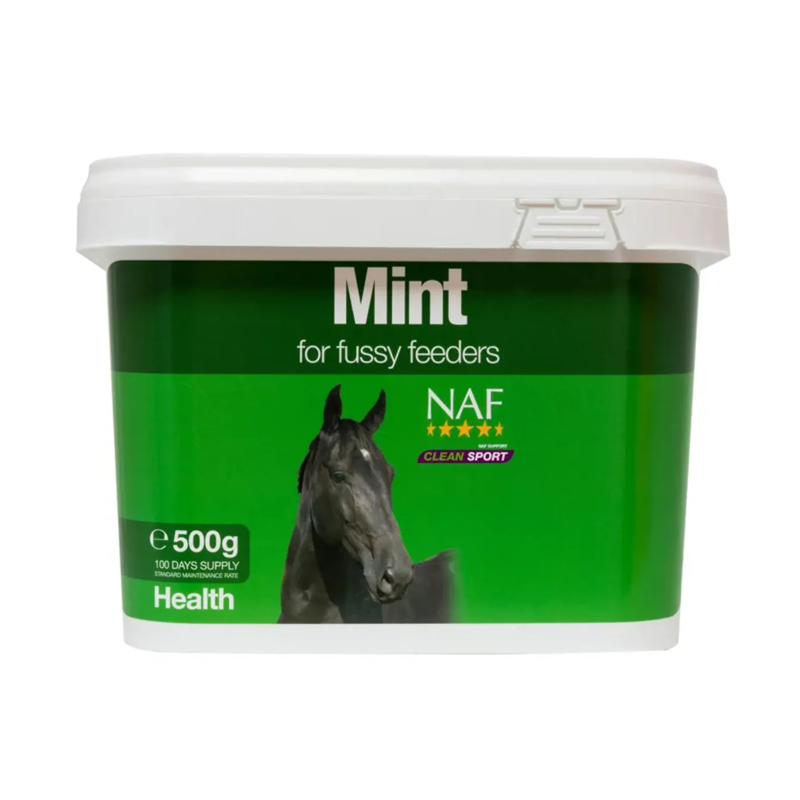 NAF 500g Mint