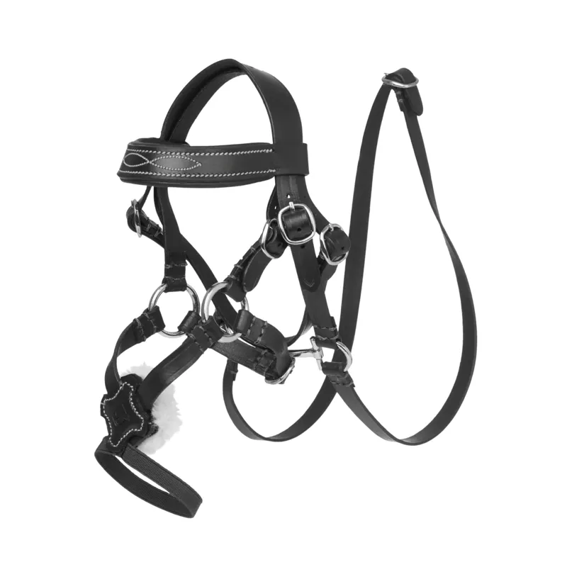 LeMieux Toy Pony Grackle Bridle in Black