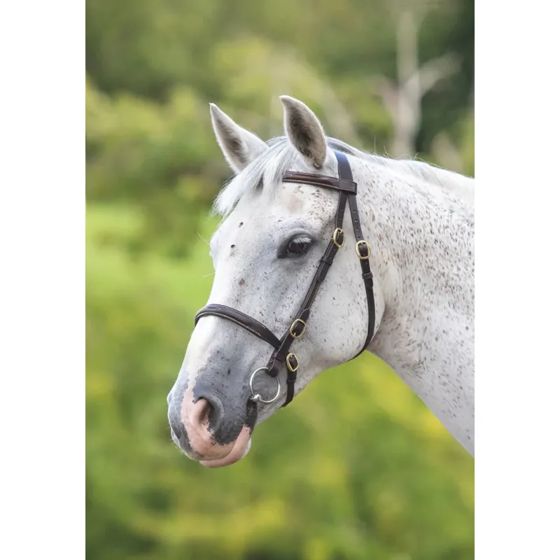 Velociti Gara Fancy Stitched Inhand Bridle in Havana