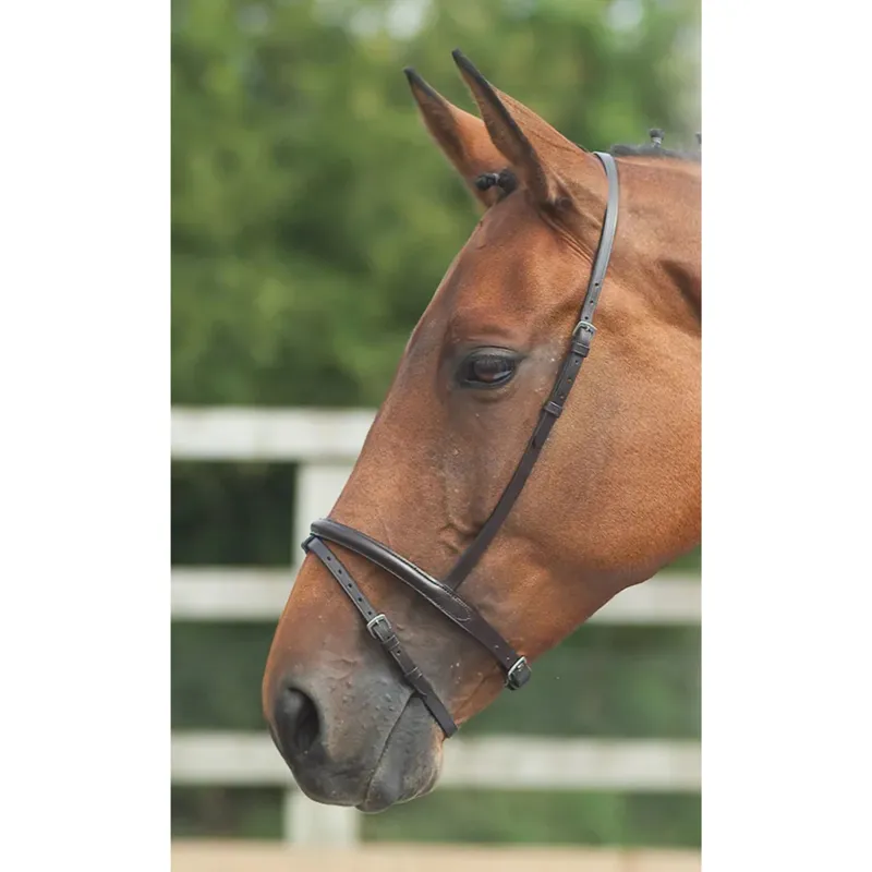 Velociti Gara Flash Noseband in Black 