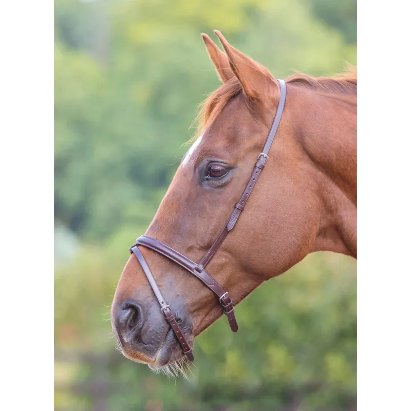 Velociti Gara Flash Noseband in Havana 