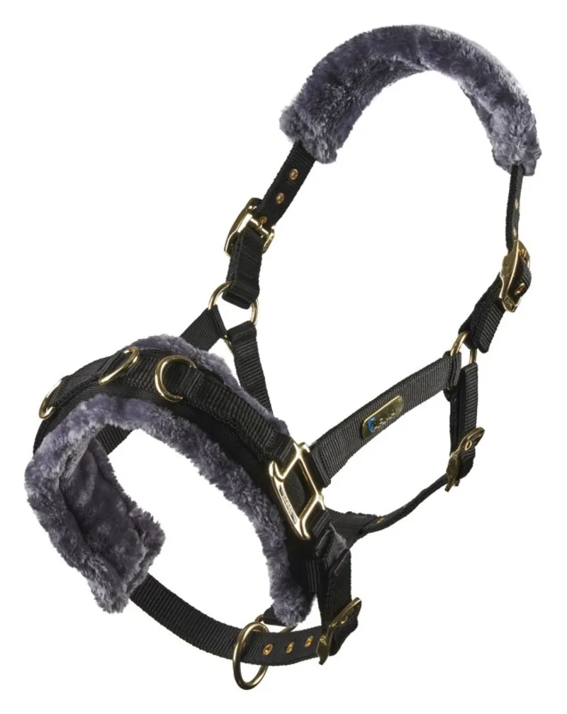 Arma Fleece Lined Lunge Cavesson in Black