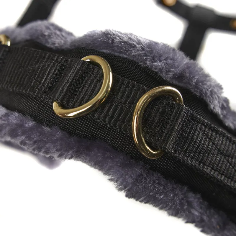 Arma Fleece Lined Lunge Cavesson in Black-2