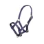 Arma Headcollar Foal in Navy Blue