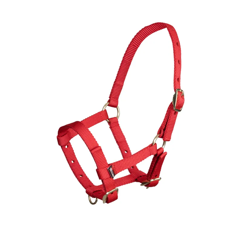 Arma Headcollar Foal in Red