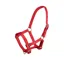 Arma Headcollar Foal in Red
