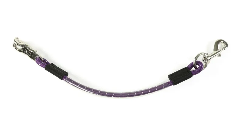Arma Heavy Duty Bungee Trailer Tie in Purple