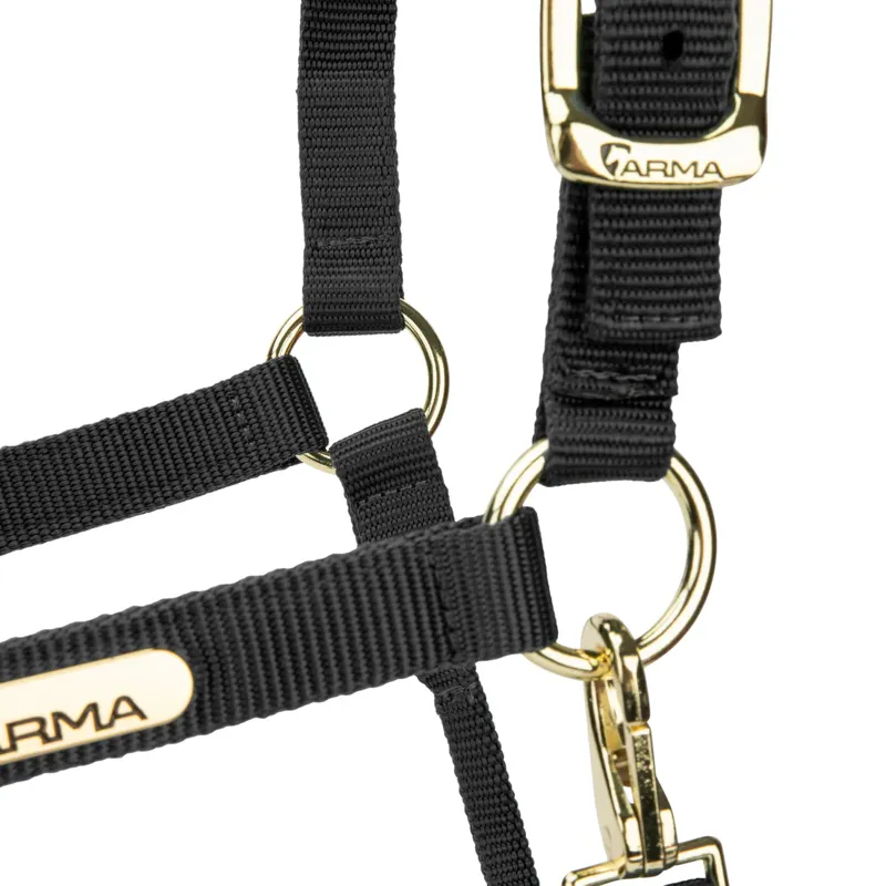 Arma Topaz Nylon Headcollar in Black-1