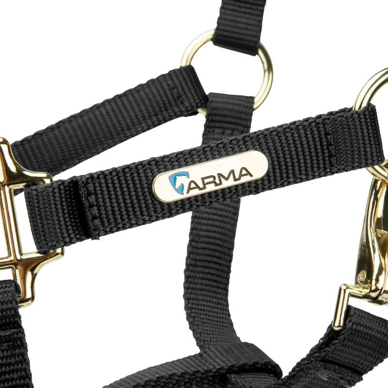 Arma Topaz Nylon Headcollar in Black-2