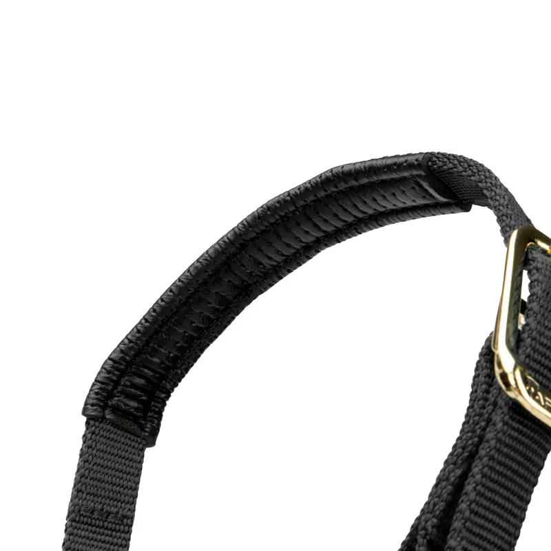 Arma Topaz Nylon Headcollar in Black-6